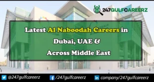 Al Naboodah Careers