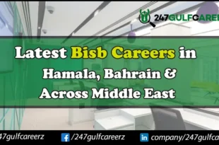 BisB Careers