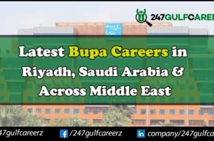 Bupa Careers