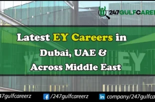 Ey Careers