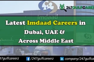 Imdaad Careers