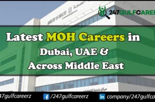 MOH Careers