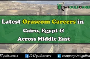 Orascom Careers