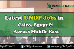 UNDP Jobs