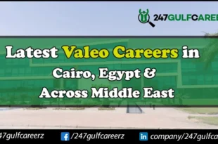 Valeo Careers Egypt