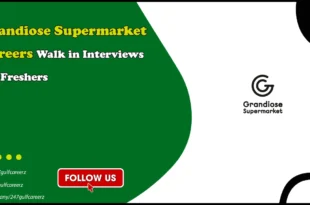 Grandiose Supermarket Careers