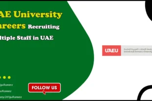 UAE University Careers